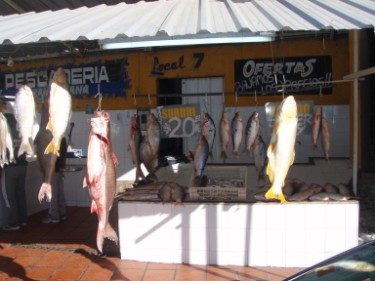 Fish market in Rosario with daily catch of native fish species from the Parana River